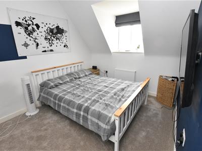 Picture 14